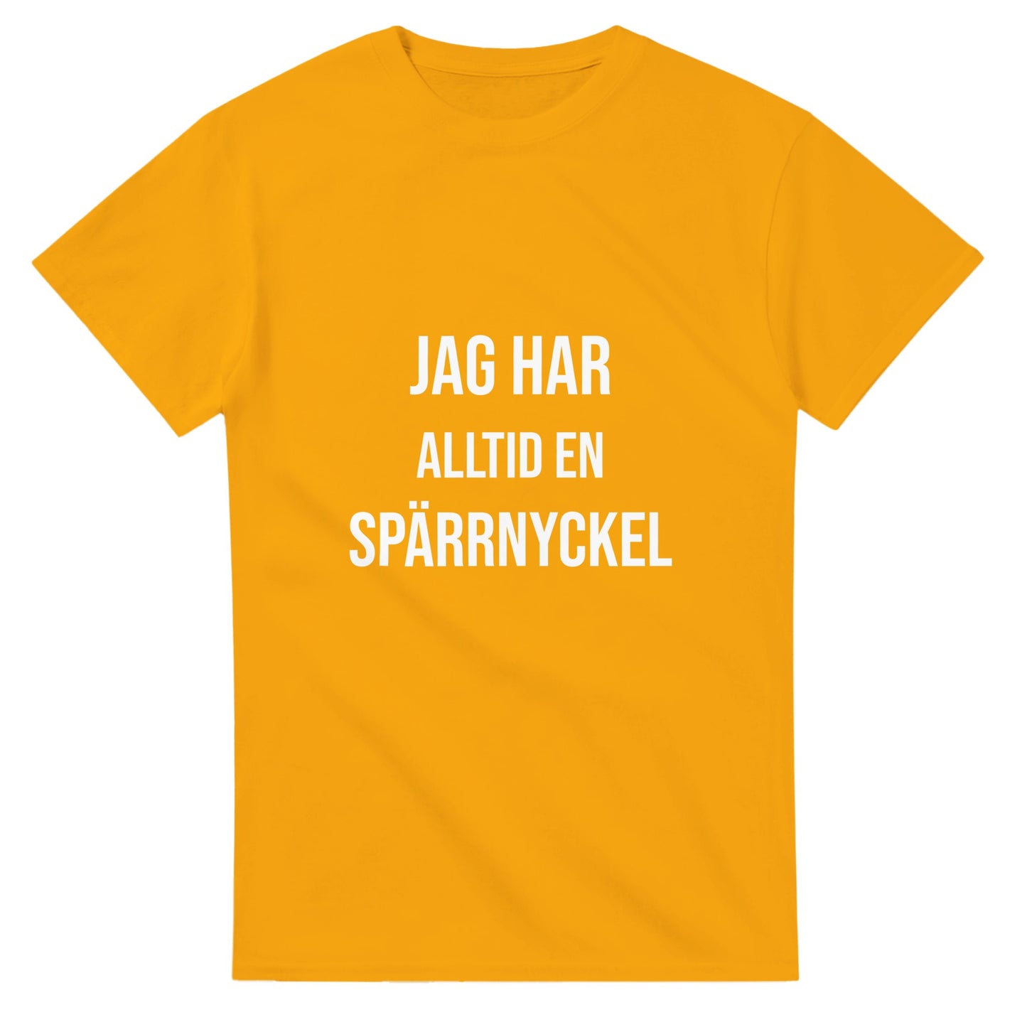 Praktisk spärrnyckel med humoristisk touch för jobbet - Vits