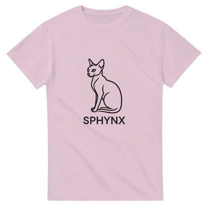 Sphynx-katt i minimalistisk design, perfekt för stilmedvetna.